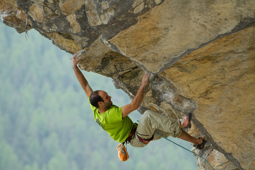 Une arquee pour un criquet (8)